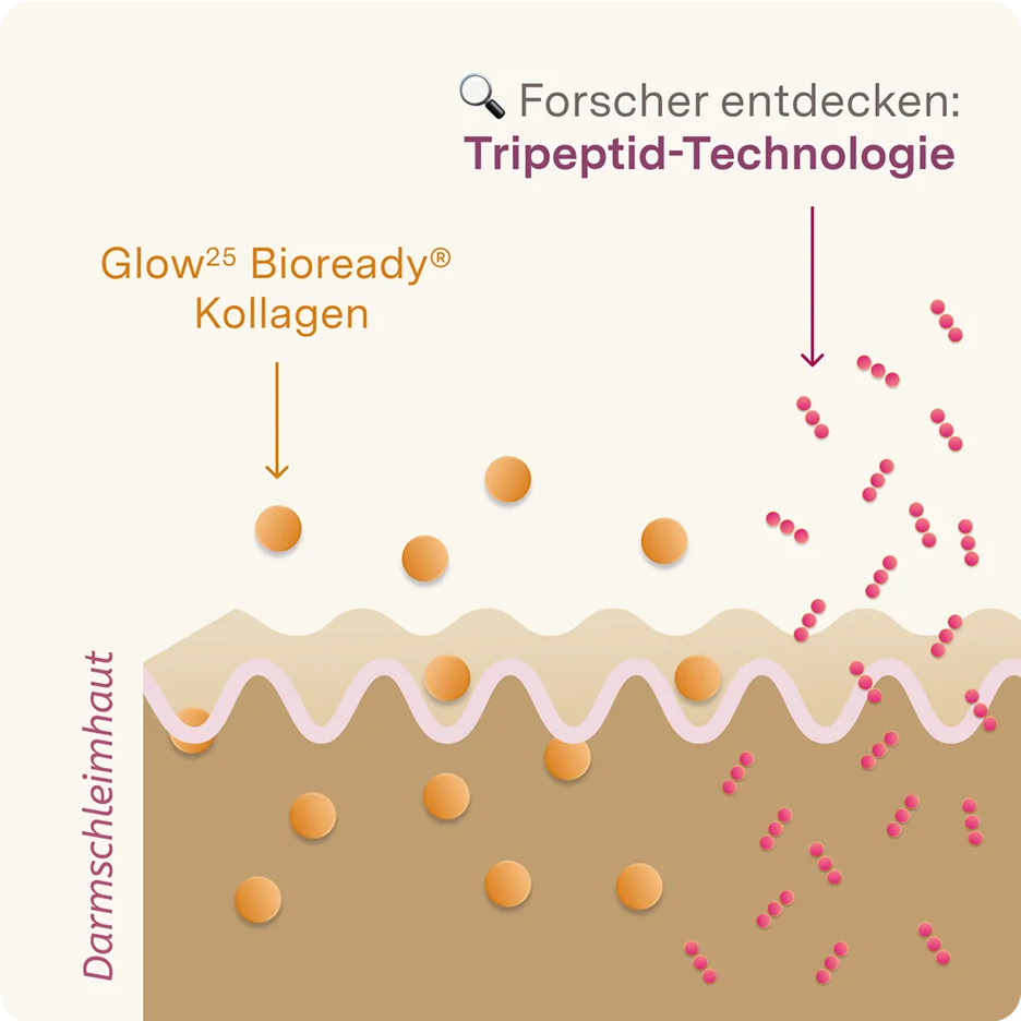 Afbeeldingsbeschrijving niet beschikbaar